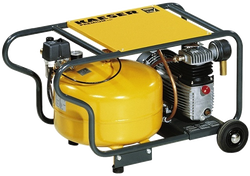 Kaeser PREMIUM CAR 200/30 W