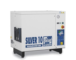 Fiac NEW SILVER 10 10