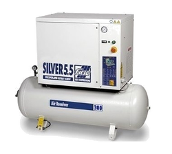 Fiac NEW SILVER 5,5/300 13